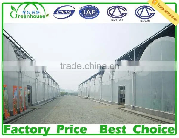 Commercial Greenhouses for Sale photo-4