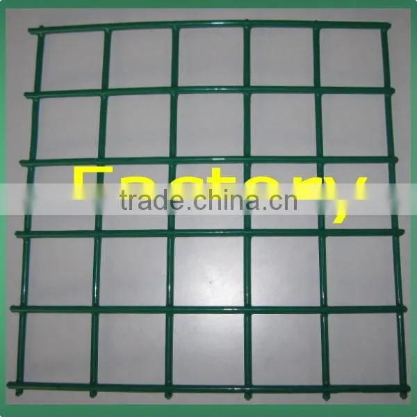 Welded Wire Mesh(15 Years Factory) photo-5