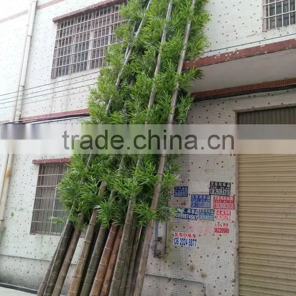 SJ030936 Bamboo Ornamental Plants Artificial Plant Artificial Bamboo Products photo-2