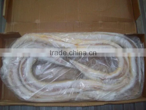 Frozen Eel Fish photo-2