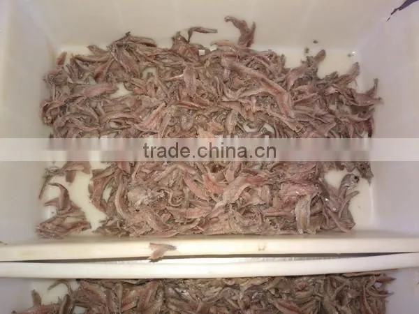 High Quality Salted Anchovy Fillet photo-5