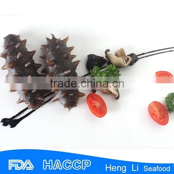 HL011 Hot Sale Frozen Floridana Sea Cucumber photo-3