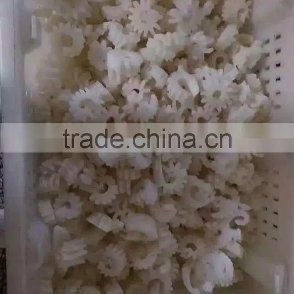 Squid Flowers Hot Selling photo-2