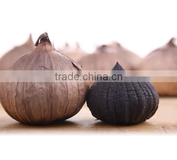 Zhengzhou Product Peeled Solo Black Garlic Packed With Organic Certificate photo-2