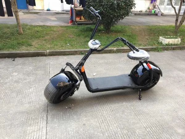 1000W Fat Tire China Electric Scooter photo-3