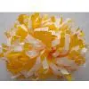 Plastic Cheerleading Poms(1)