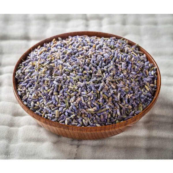 Improve Sleep Lavender Flower Herbal Tea photo-5