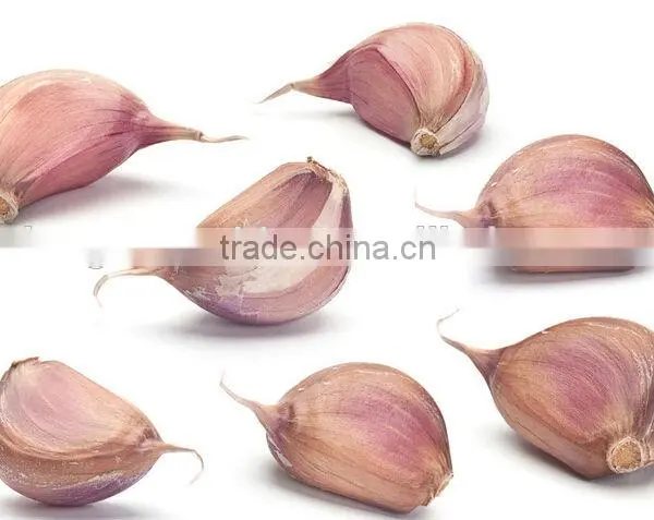 Automatic Garlic Breaking Machine|Hot Sale Garlic Clove Splitting Machine photo-5