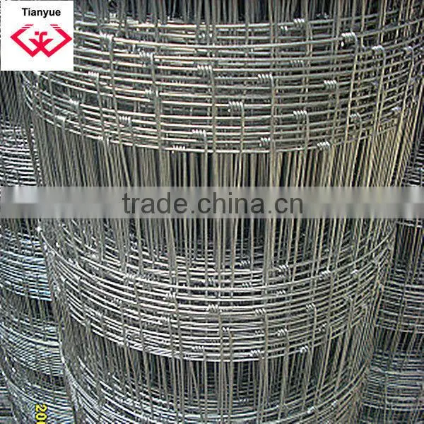 Galvanized or PVC Coated Quality Grassland Fence (ISO 9001) photo-4