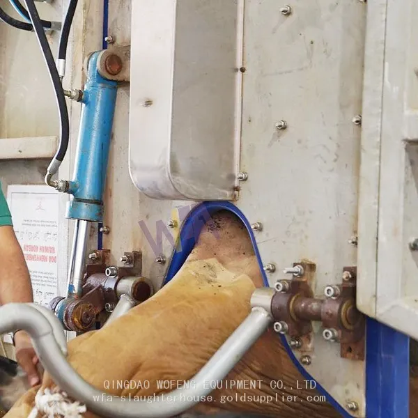 Full Set Automatic Cattle Slaughter Line For Ritual Rotary Slaughtering Box For Cow Slaughtering Equipment photo-3