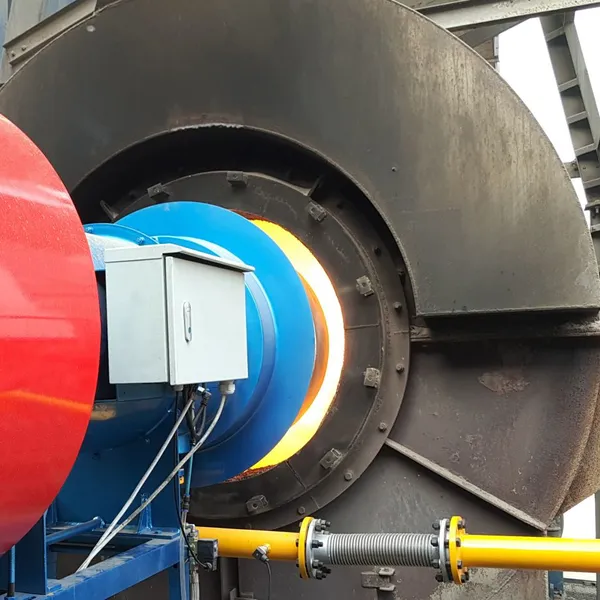 Supply Gas Burners Natural Gas Industrial Boiler Burners photo-4
