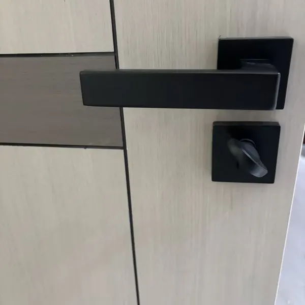 OEM Housesbusiness Door Security Manufacturer Waterproof Hotel Bedroom Living Room Interior Fireproof Fire Wooden Exterior Doors photo-3