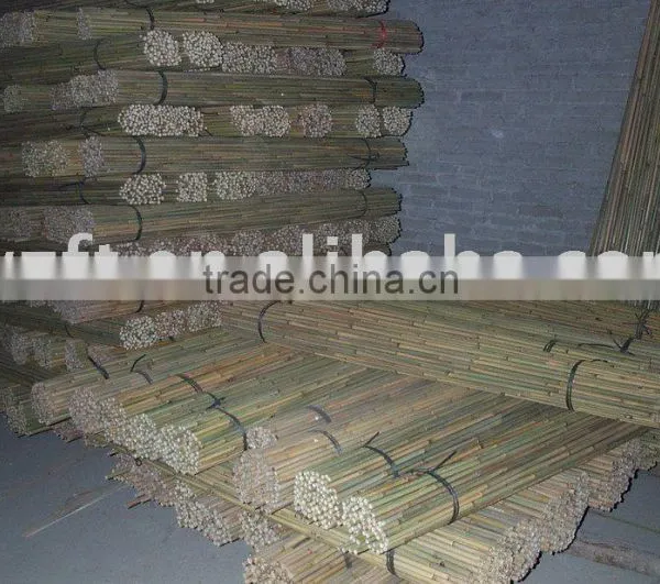 Bamboo Pole