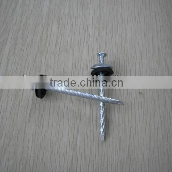 Twisted Umbrella Head Roofing Nail Factory photo-6