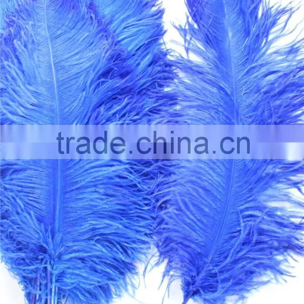 28"-30" Wholesale Bulk Blue Ostrich Feather For Wedding Table Decoration photo-2
