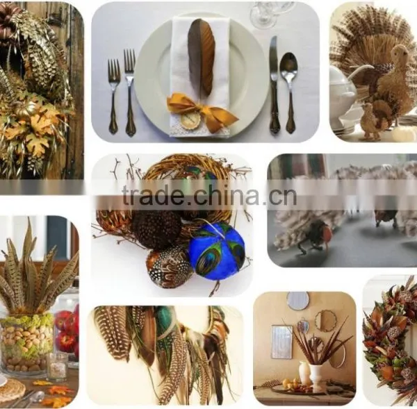16"-18" Natural Venery Pheasant Feather Tail Feather For Sale photo-3