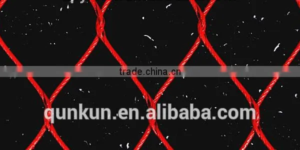 China Chicken Coop Hexagonal Wire Mesh photo-5