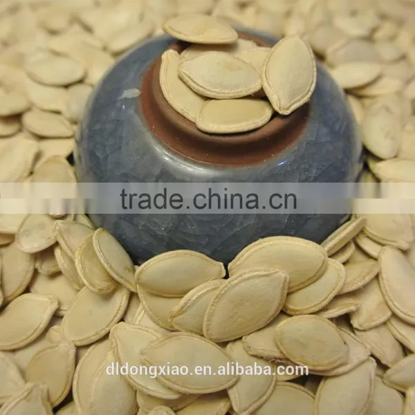 Shine Skin Pumpkin Seeds Greenhouse photo-4