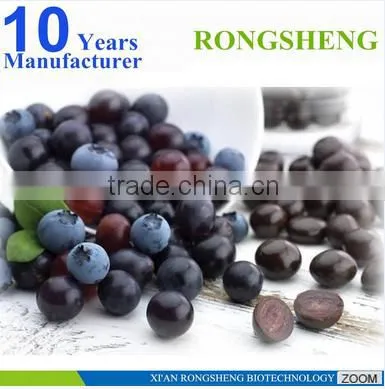 Hot Sale Freeze Dried Powder Organic Acai Berry photo-4