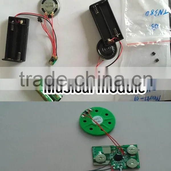 Custom Voice Music Chips Sound Modules Voice Recorder For Greeting Cards And Toys photo-4