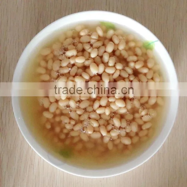 CHINA BIGGEST FACTORY TO SUPPLY CANNED WHITE BEANS 400GX24TIN photo-3