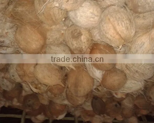 Todays Coconut Price in TamilNadu photo-5