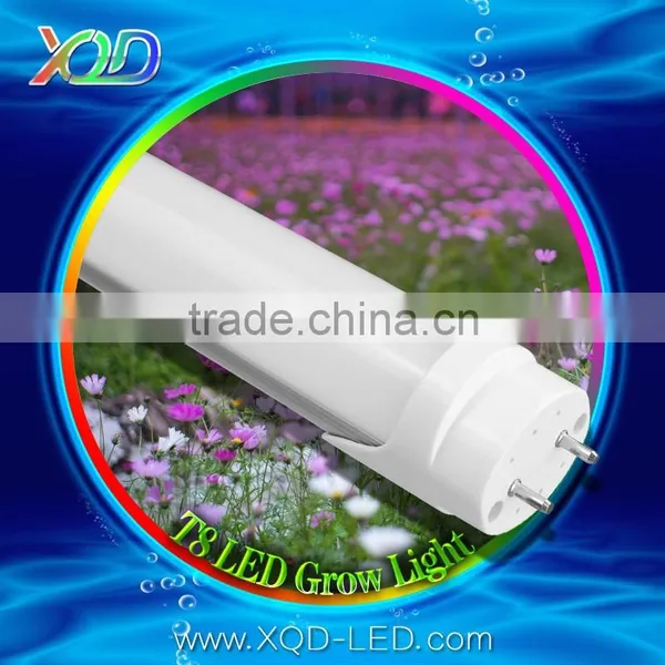 XQD Led Grow Light Full Spectrum Hydroponic photo-3