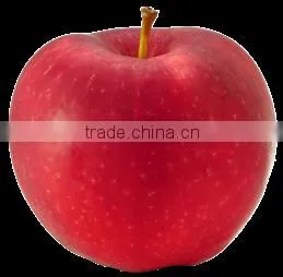 175# Fresh Fuji Apple photo-5