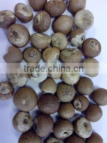 BETEL NUT photo-3
