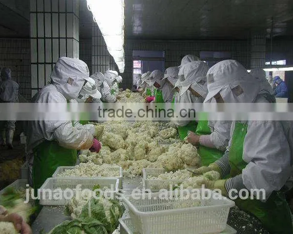 Common Cultivation Frozen Style Chinese Frozen Cauliflower photo-2