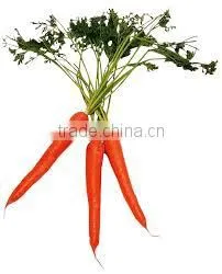 Beta Carotene E160a