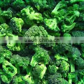 New Season Hot Wholesale Vegetables Iqf Frozen Broccoli