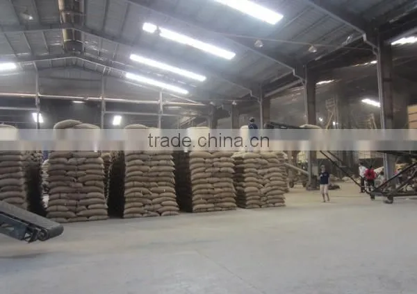 VIETNAM DECAFFEINATED ARABICA COFFEE BEANS photo-5
