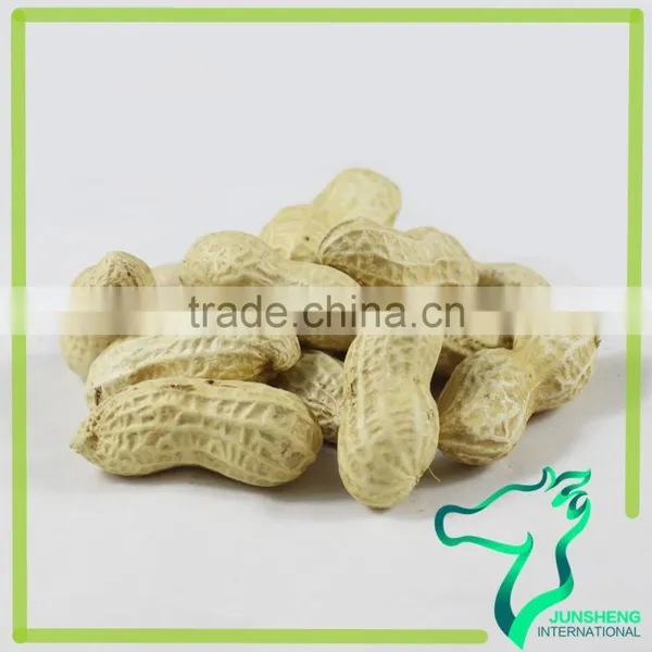 Raw Chinese Peanut Factory Supply photo-5