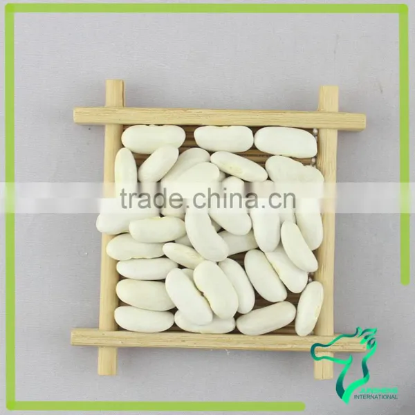 Long White Kidney Beans 2016 Crop Now On Sale photo-3
