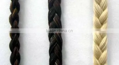 Kinds of Horse Hair Braids
