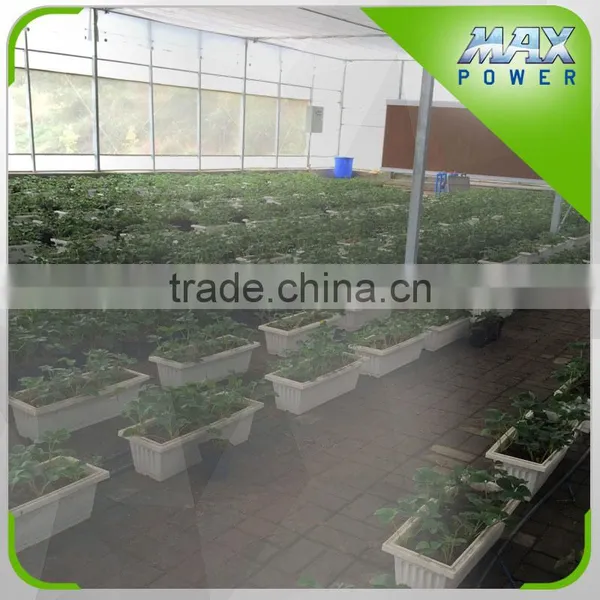 PP Film China Aquapoinics Greenhouse With Aluminum/Hot Galvanized Steel Frame photo-3