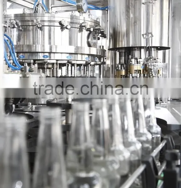 Beer Bottle Filling Machine photo-4