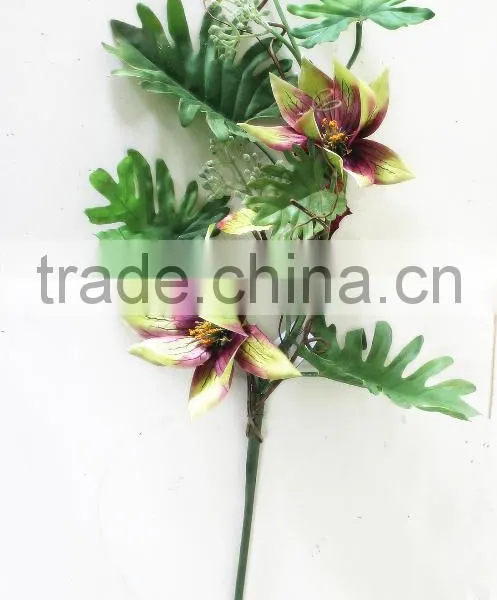 SD800918 Spring Flower Medinilla Magnifica Flower Decoration photo-4
