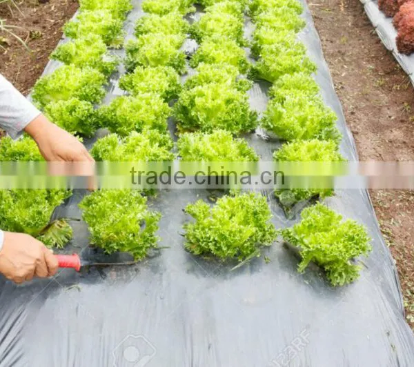 Cheap Price Agriculture Black Plastic Ground Cover photo-6