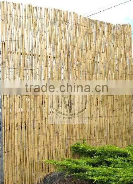 Reed Fence photo-2