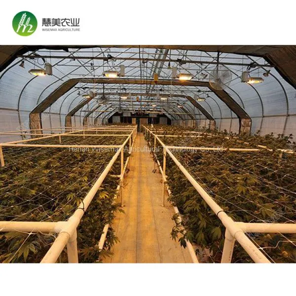 All Top Quality Material Light Deprivation Blackout Greenhouse photo-2