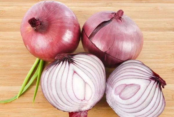 Fresh Wholesale Organic Onions Red Onion Fresh Onion Price New Work Red Onion Exit photo-4