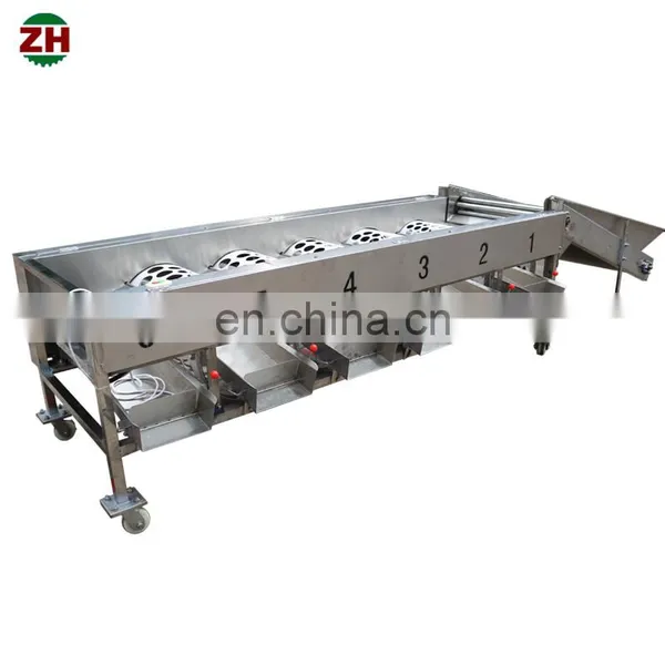 Fruit and Vegetable Sorting Machine Fruit Size Sorting Machine Apple Grading Machine photo-2