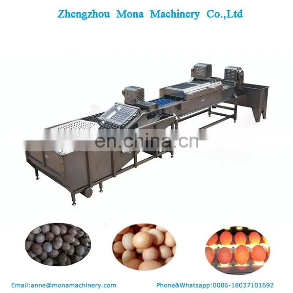 Egg Washing Grading Sterilization Machine Egg Processing Equipment photo-3