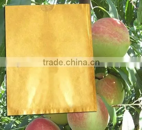 Paper Material Fruit Paper Bag photo-3