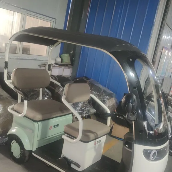 800W 1000W Three Wheels Leisure Electric Tricycle Rickshaw EV Mobility Scooter Motor With Cabin Tuk Tuk photo-3
