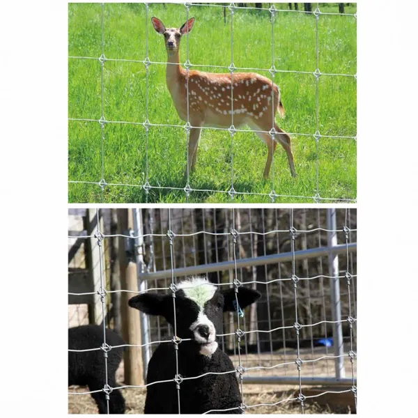 Wholesale Hot Dipped Galvanized Cattle Field Fence Low Maintenance Deer/Cow Guard Carbon Steel Frame With Livestock Fence Posts photo-4