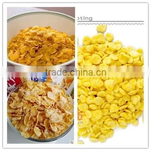 Corn Flakes /tortilla Making Machines photo-4