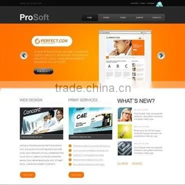 Offshore Software Development Services photo-4